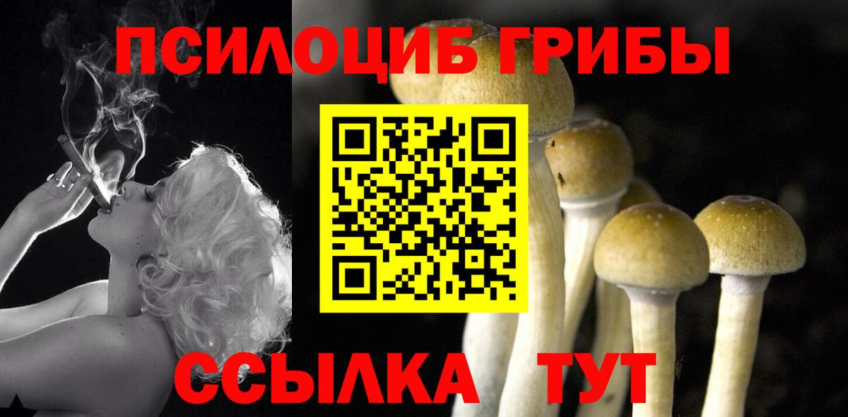 Псилоцибиновые грибы Cubensis Старая Русса