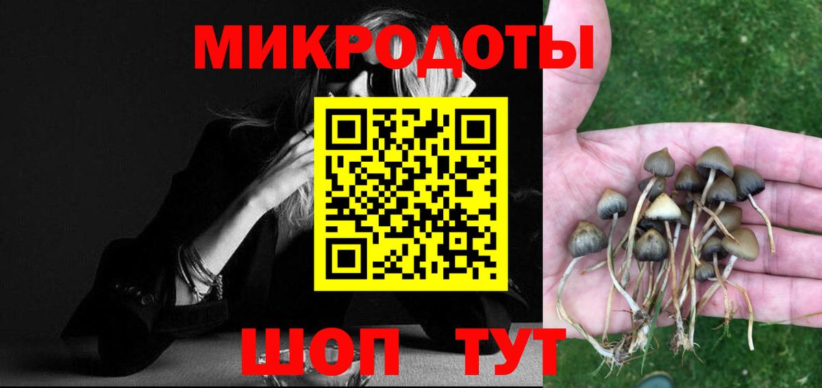 Галлюциногенные грибы Magic Shrooms  Вход с VPN  цена   Псилоцибиновые грибы мицелий  Старая Русса 